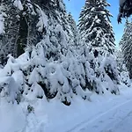 La Cure Vosgienne Champdray