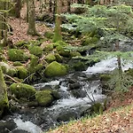 La Cure Vosgienne 3* Champdray