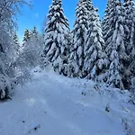 La Cure Vosgienne Couette-café 3*