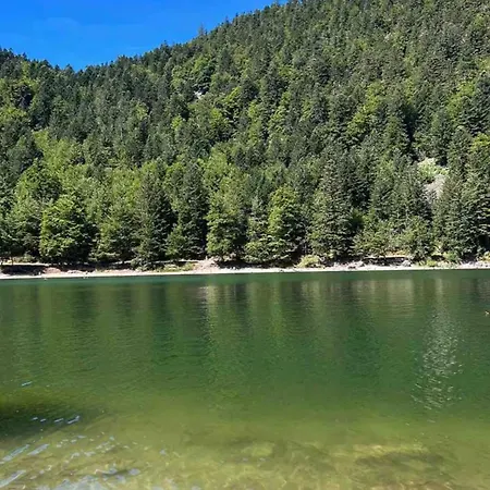 Bed & Breakfast La Cure Vosgienne Champdray