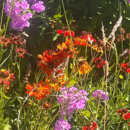 La Cure Vosgienne ベッド・アンド・ブレックファスト Champdray