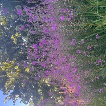 La Cure Vosgienne 3*