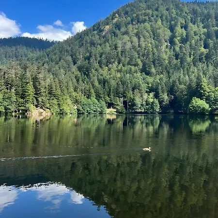 La Cure Vosgienne 3* Champdray