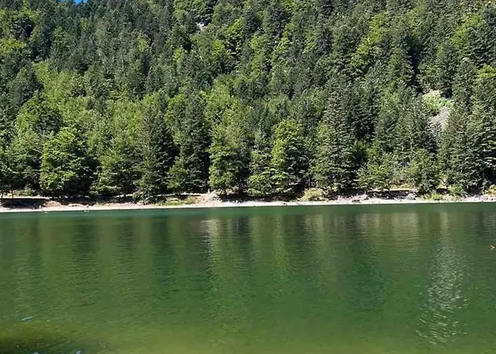 Bed & Breakfast La Cure Vosgienne Champdray