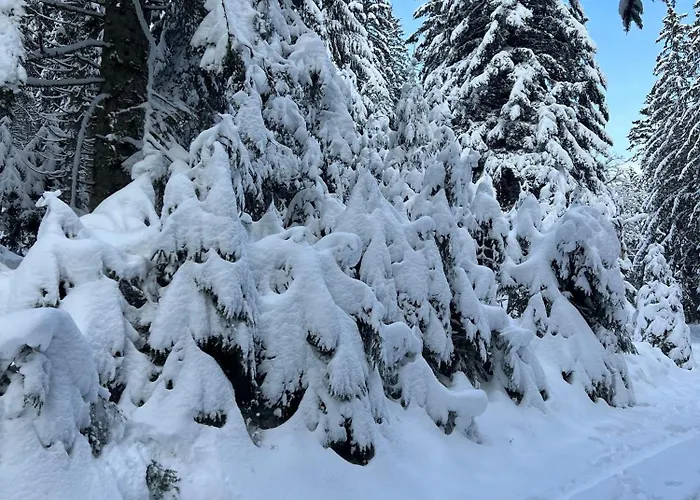 La Cure Vosgienne Champdray