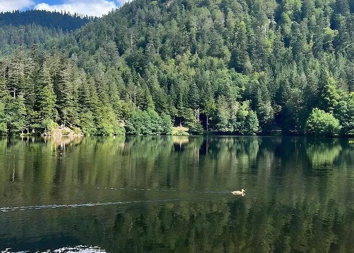 La Cure Vosgienne 3* Champdray