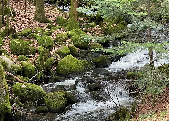 La Cure Vosgienne 3* Champdray