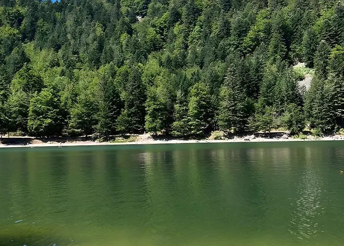 La Cure Vosgienne 3*