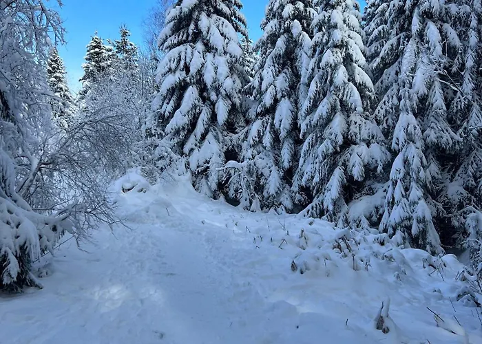 La Cure Vosgienne Bed & Breakfast 3*